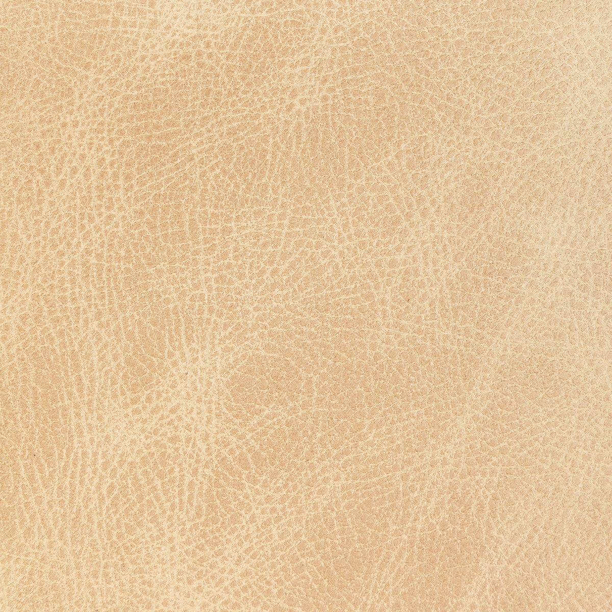Kravet Design-L-Ope-Latte