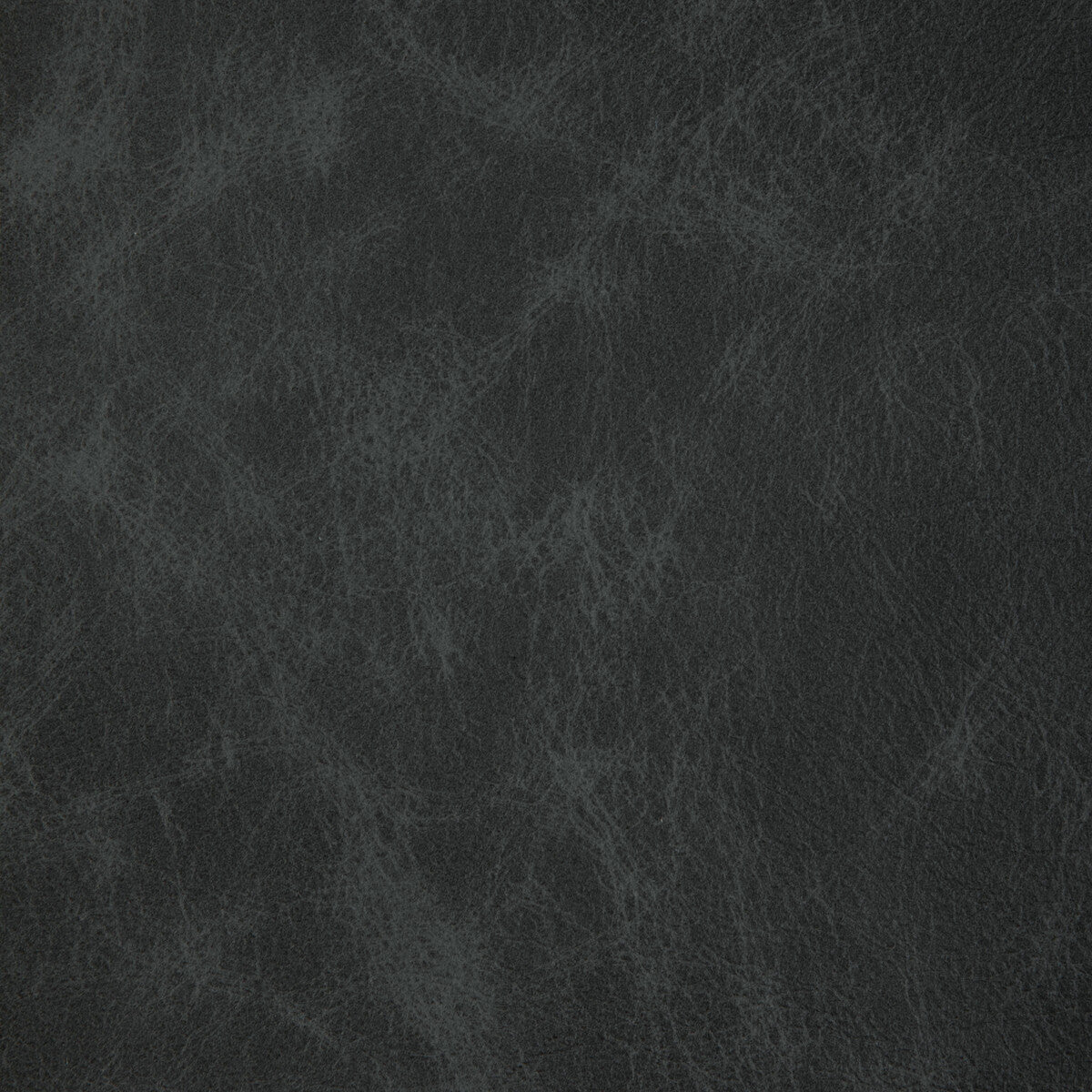 L-Ovine-Carbon
