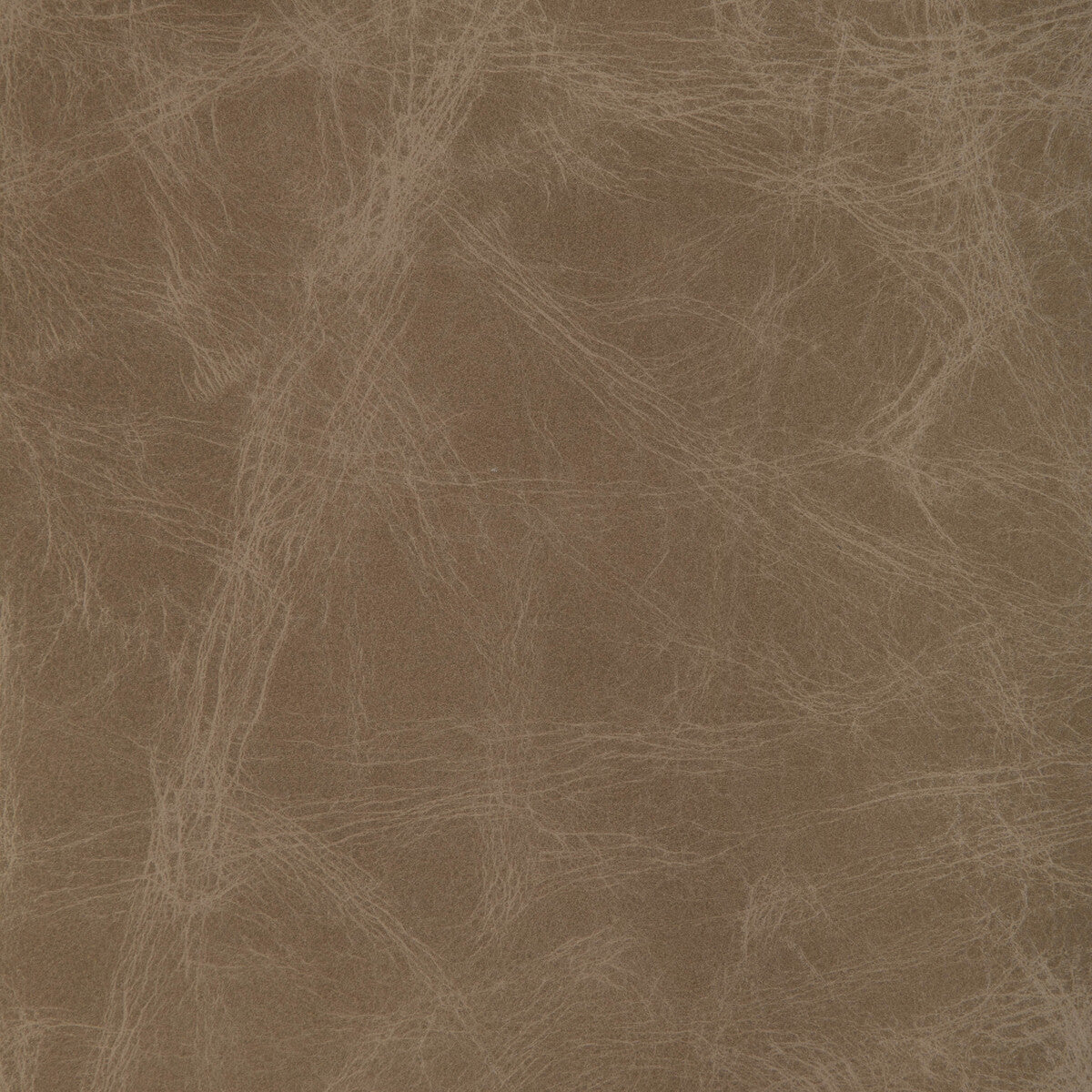 L-Ovine-Fawn