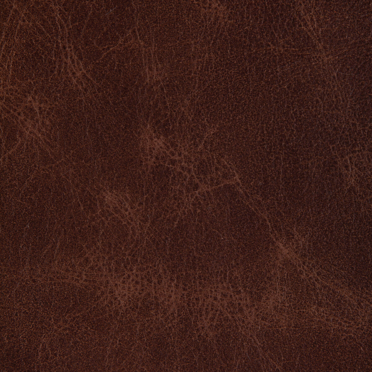 L-Ovine-Russet