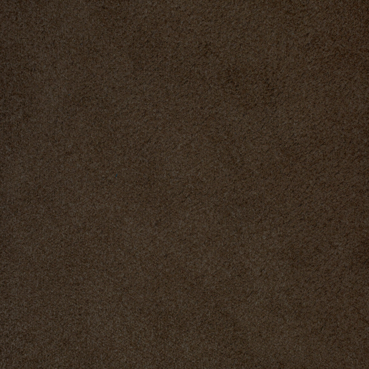Kravet Design-L-Percha-Oak