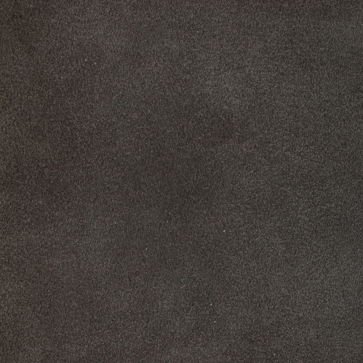 Kravet Design-L-Percha-Shadow