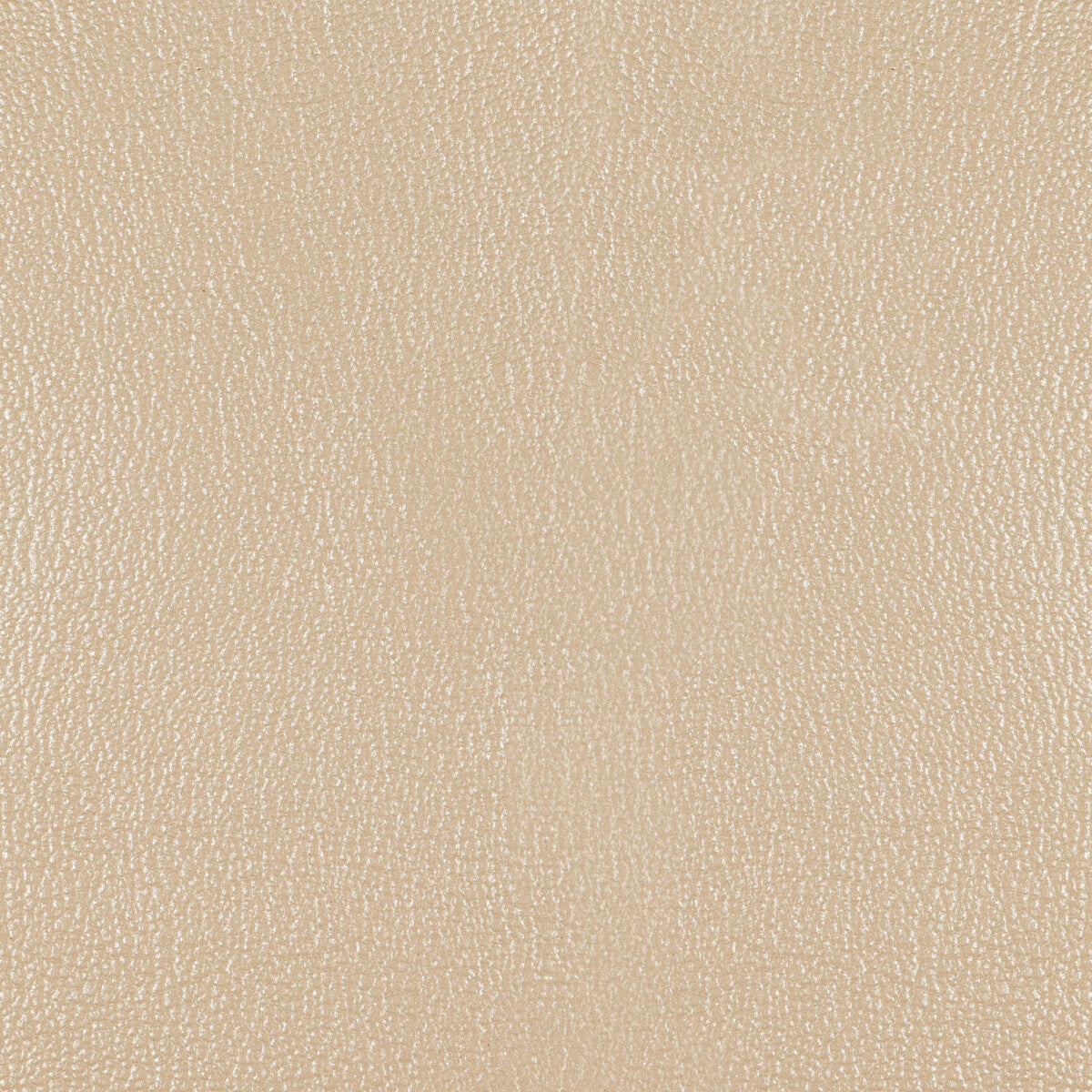 Kravet Design-L-Perl-Nude