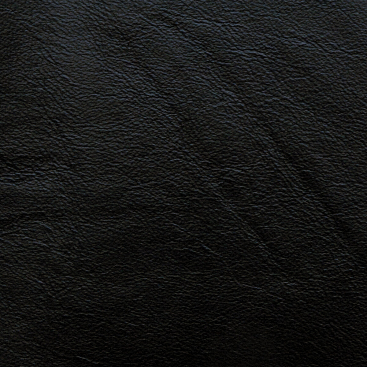 Kravet Design-L-Portofin-Black