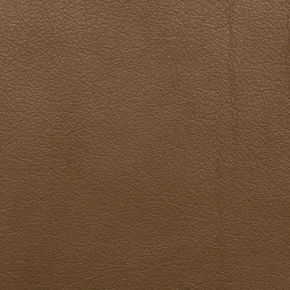 Kravet Design-L-Portofin-Brownstone