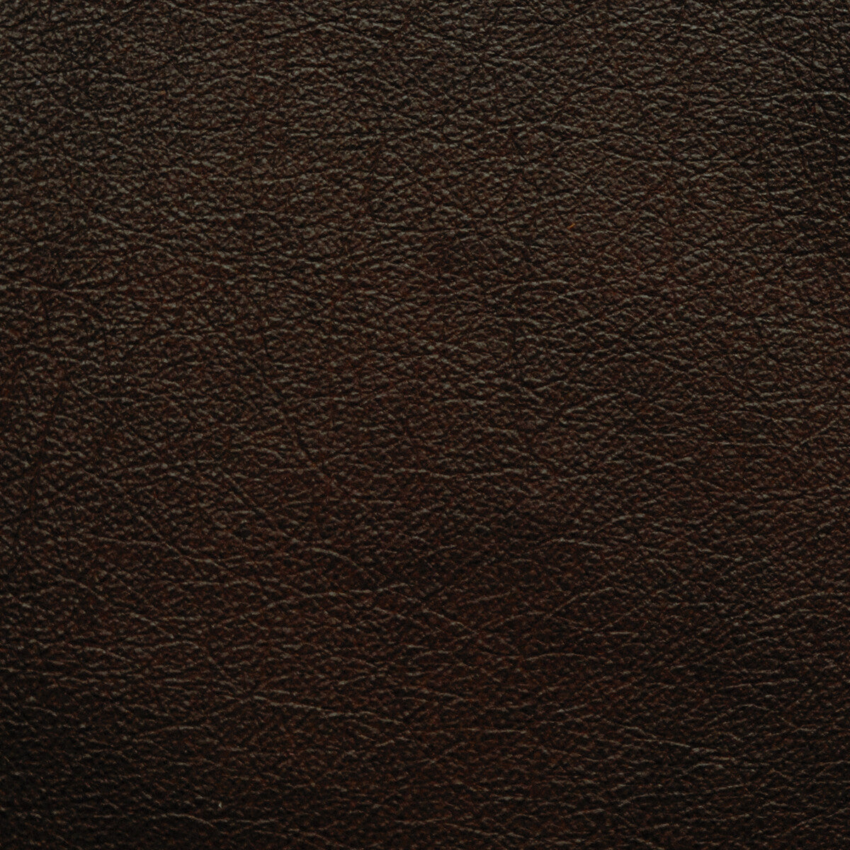 Kravet Design-L-Portofin-Chocolate