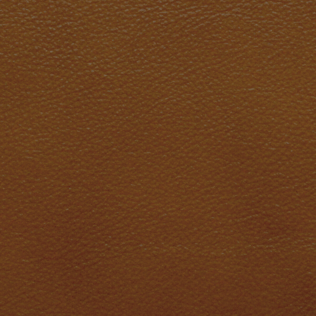Kravet Design-L-Portofin-Cognac