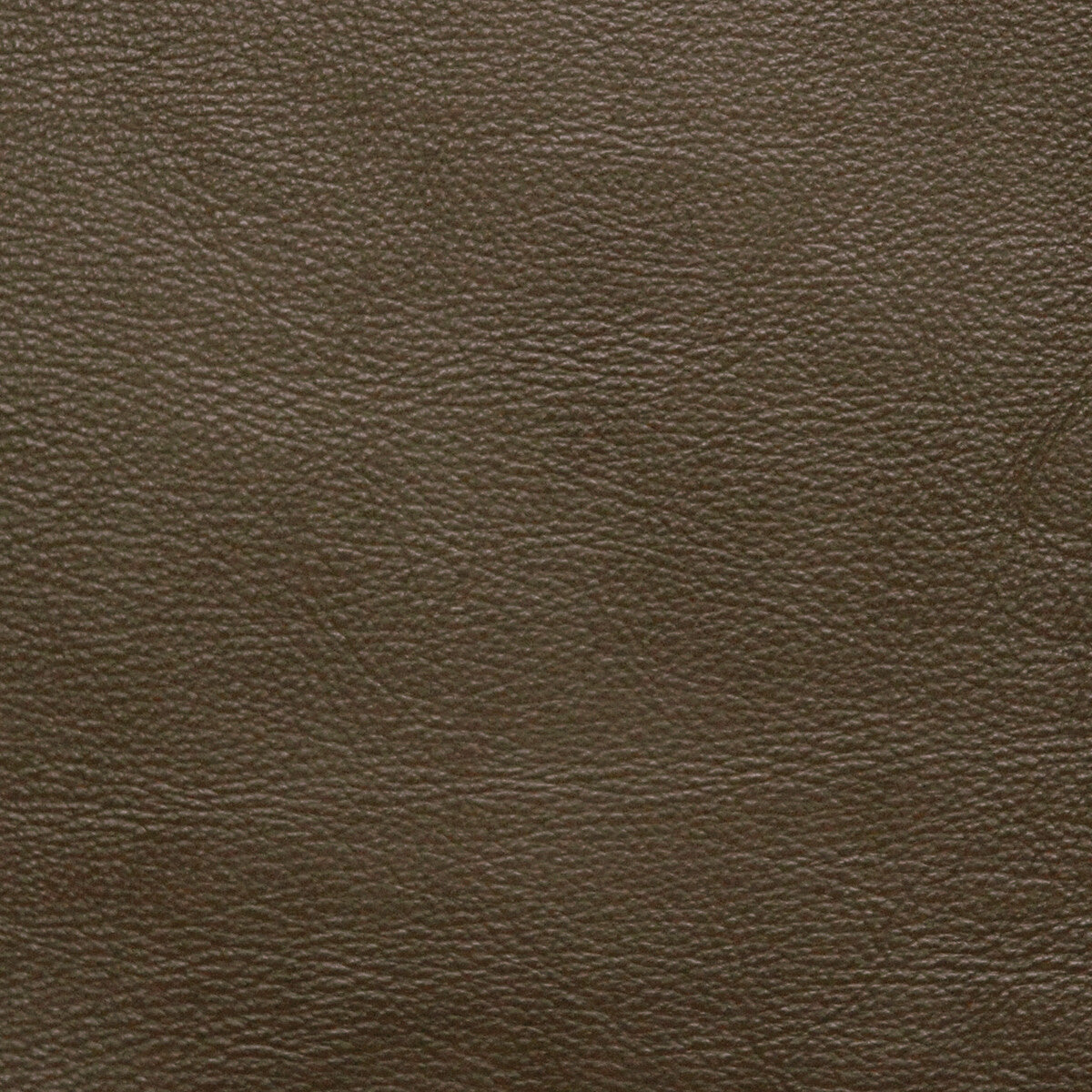 Kravet Design-L-Portofin-Sage