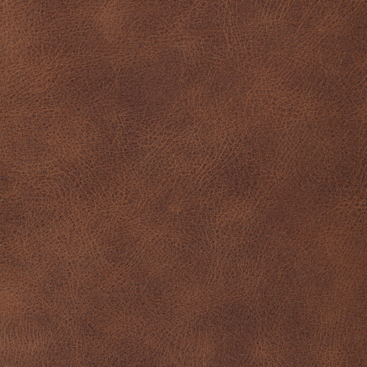 L-Ranch-Cinnamon