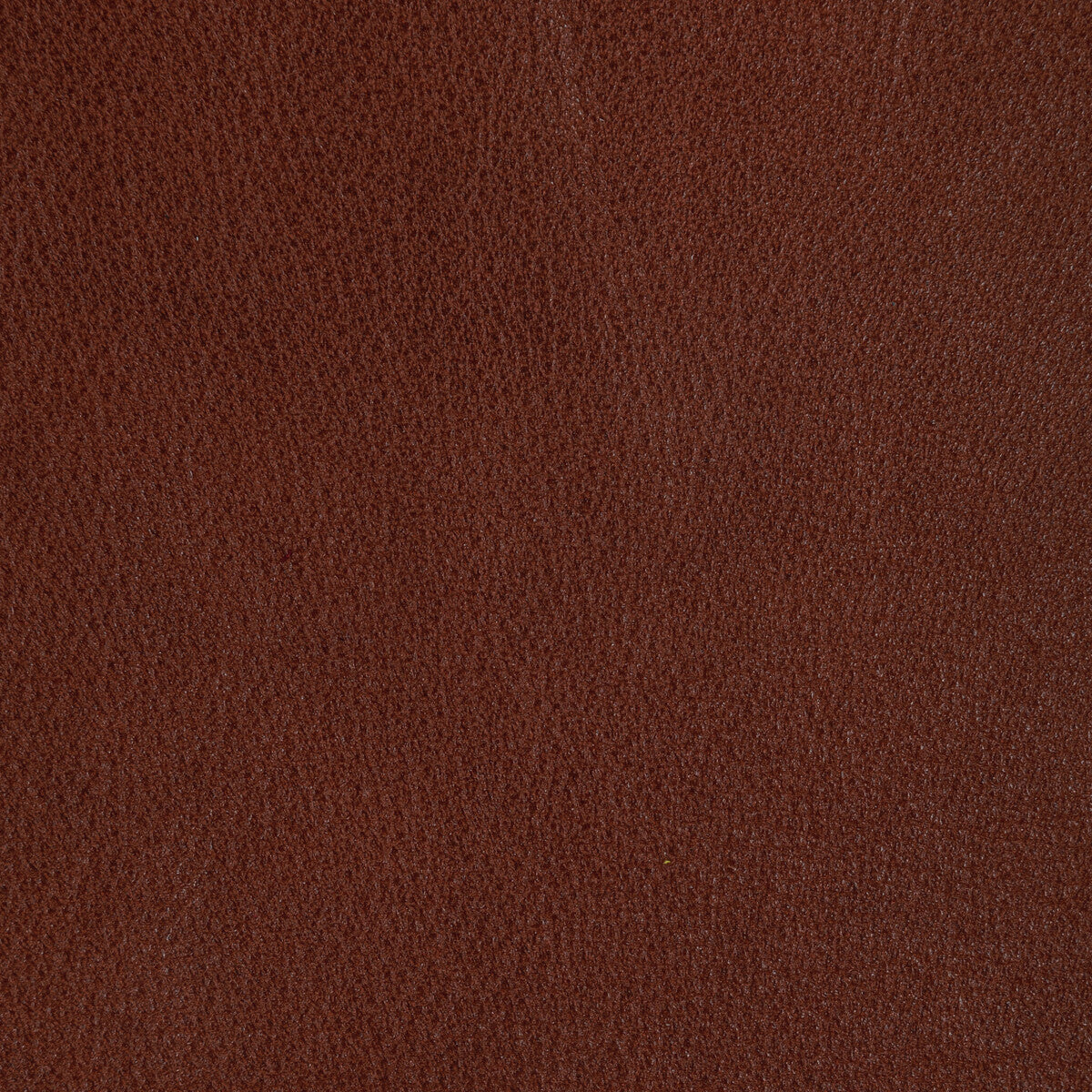 Kravet Design-L-Rein-Maple