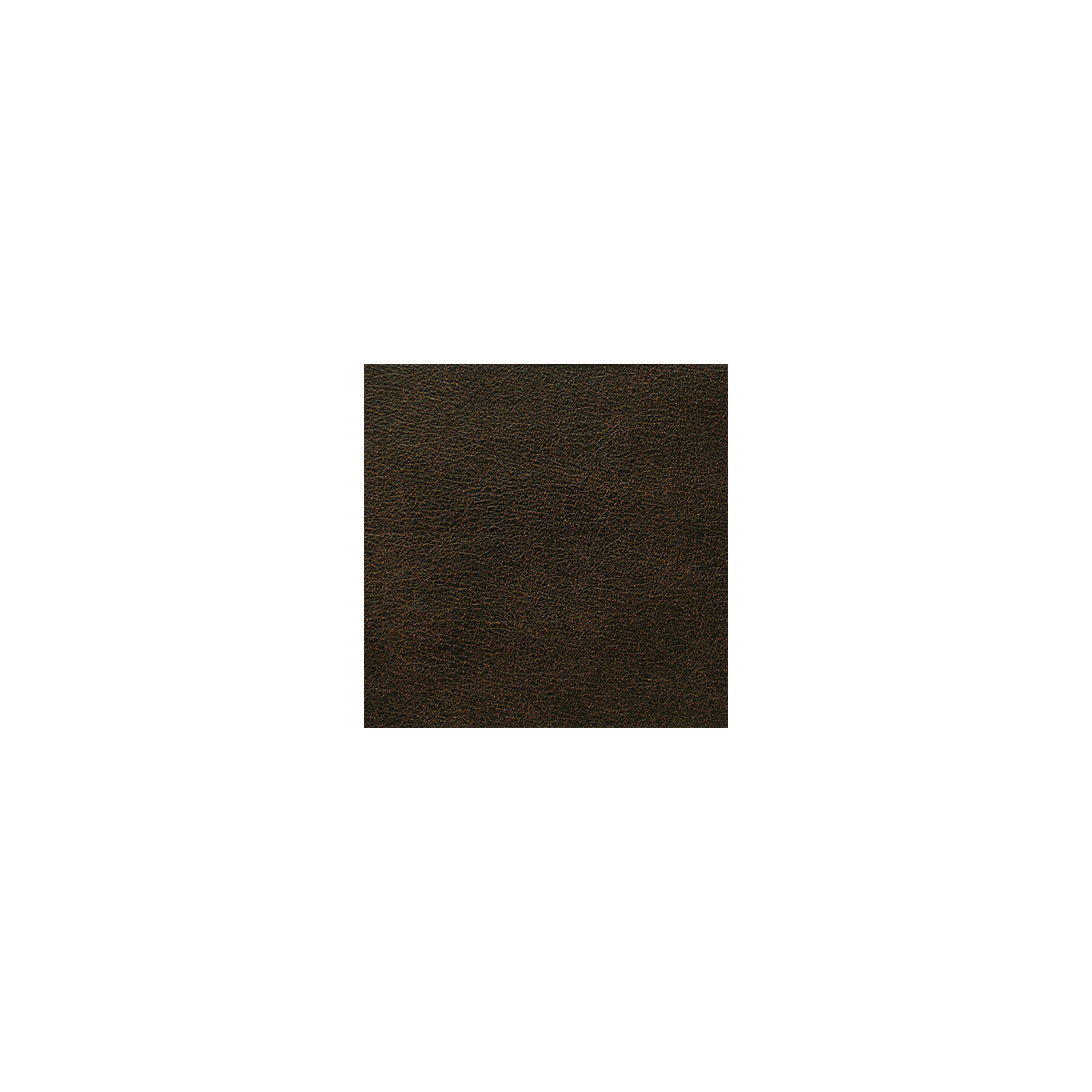 L-Rodeo-Cigar