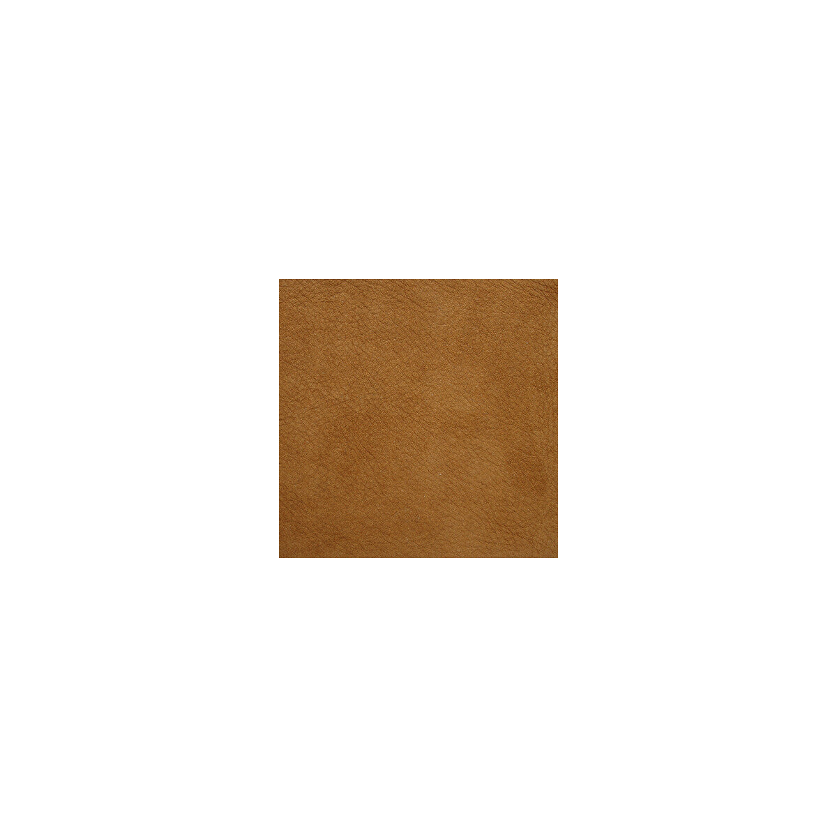 Kravet Design-L-Saguaro-Sand