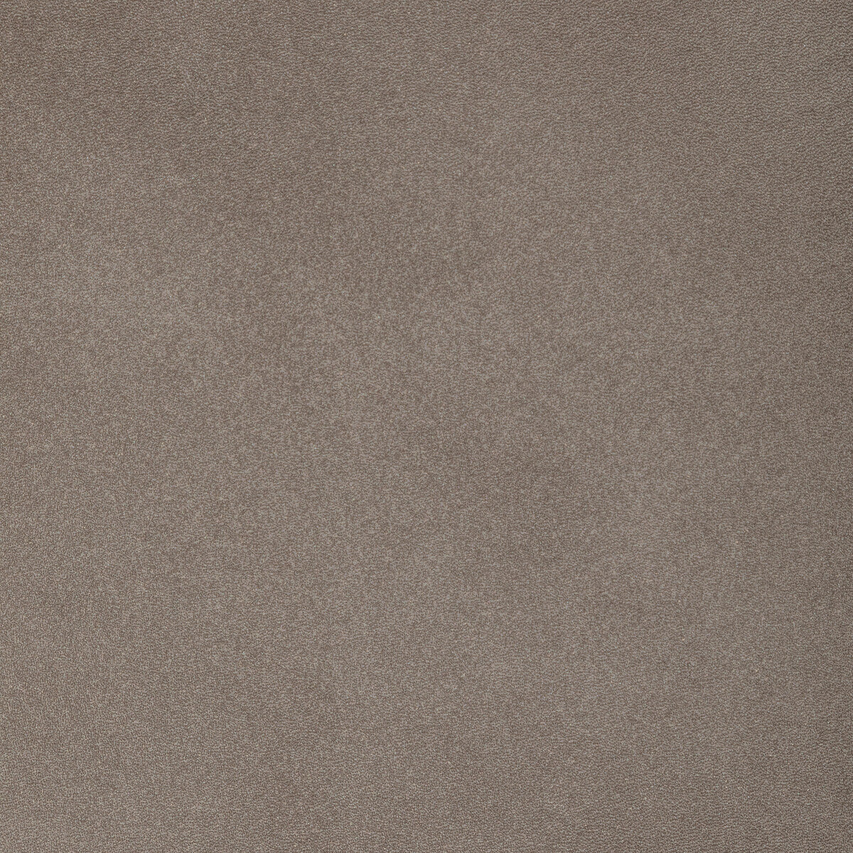 Kravet Design-L-Sahara-Mushroom