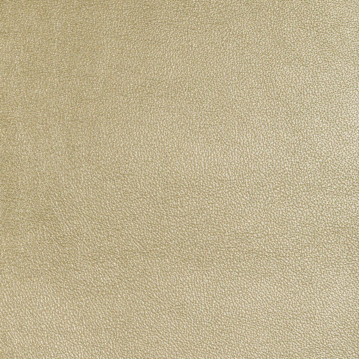 Kravet Design-L-Sierra-Glimmer