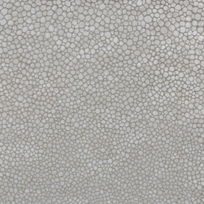 L-Sinar-Silver