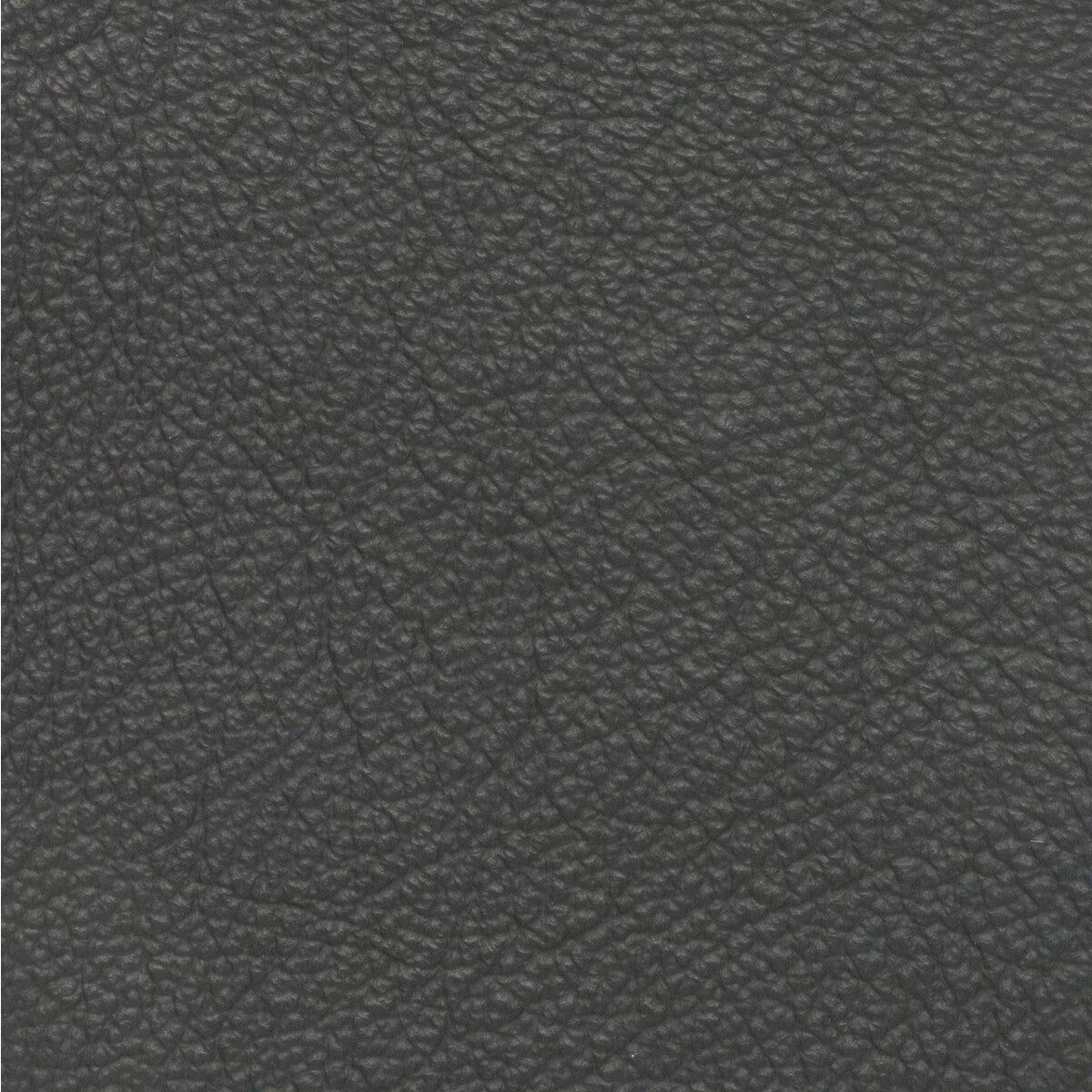 Kravet Design-