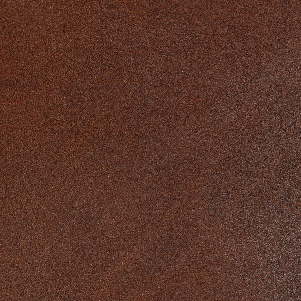Kravet Design-L-Storrie-Cocoa