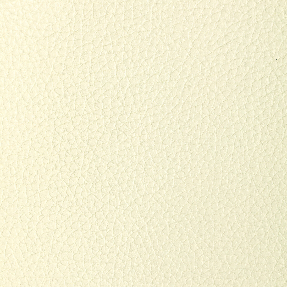 L-Tucum-Ivory