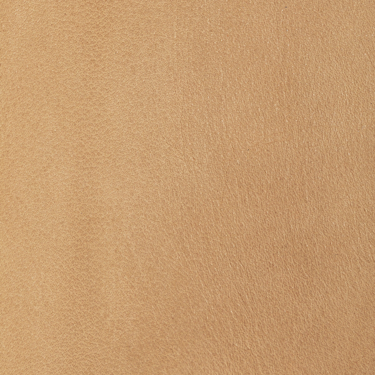 Kravet Design-L-Tularose-Camel