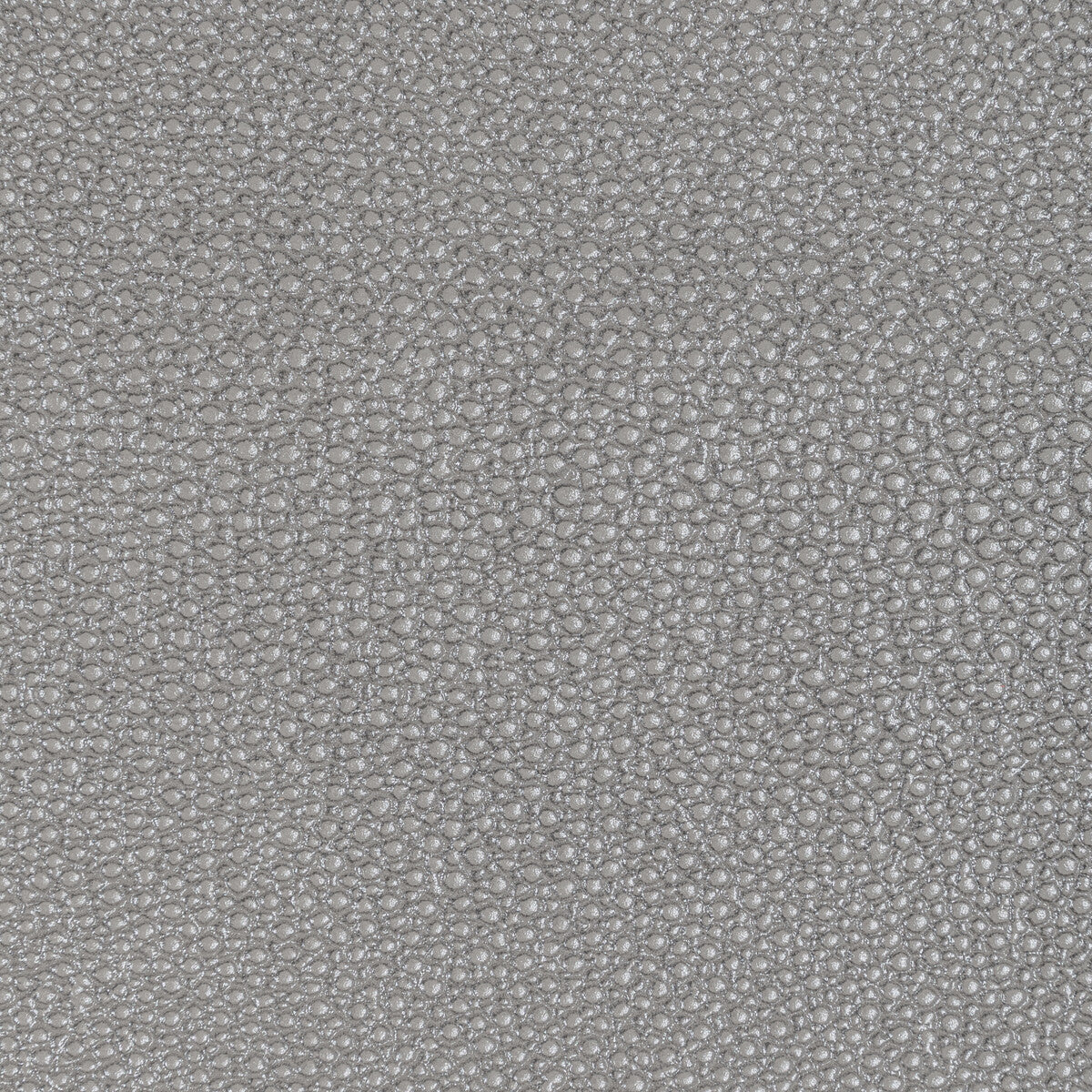 Kravet Design-L-Whit-Grey