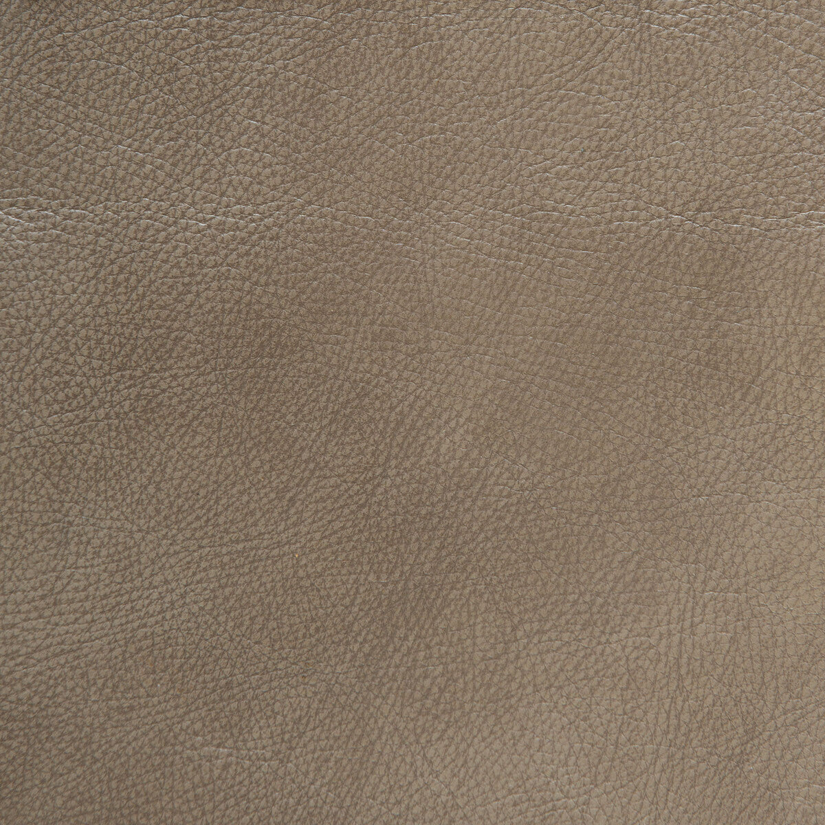 L-Wyoming-Taupe