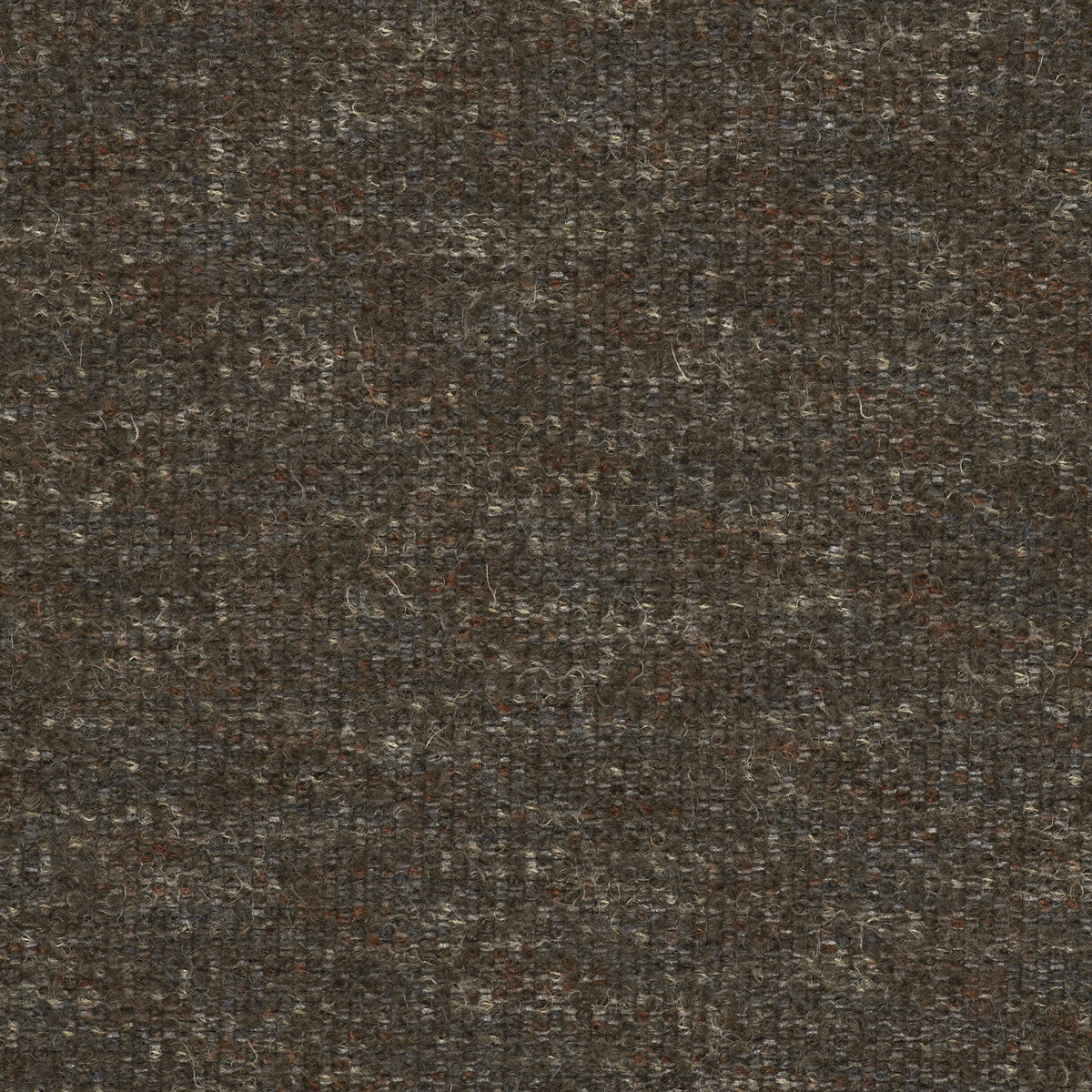 Favila-Marron