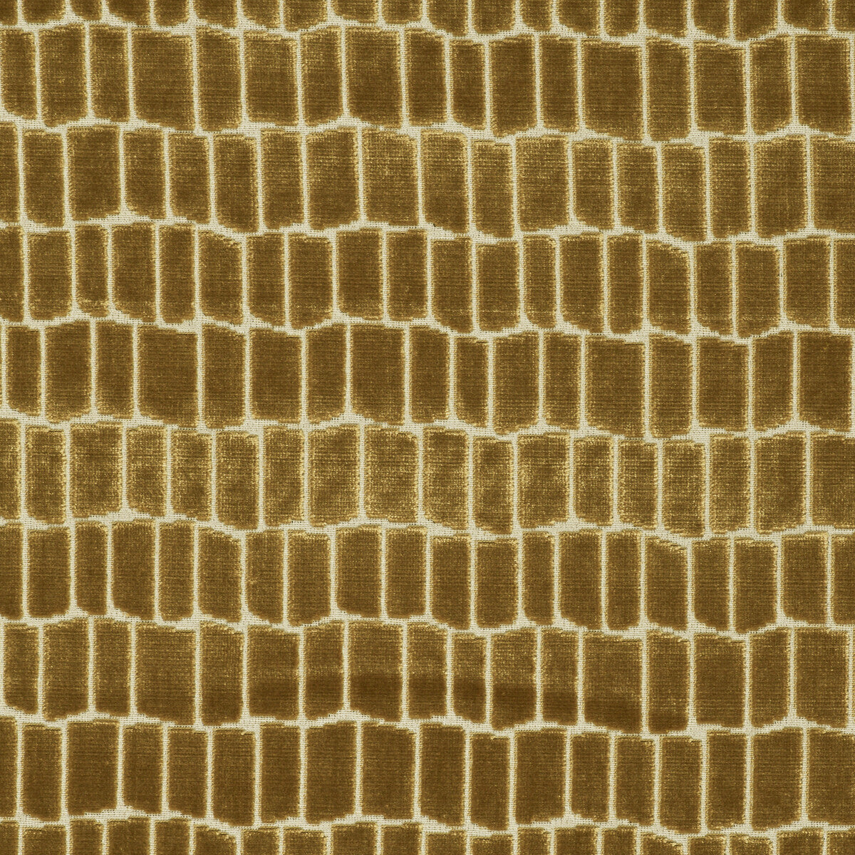 Maximo-Oro