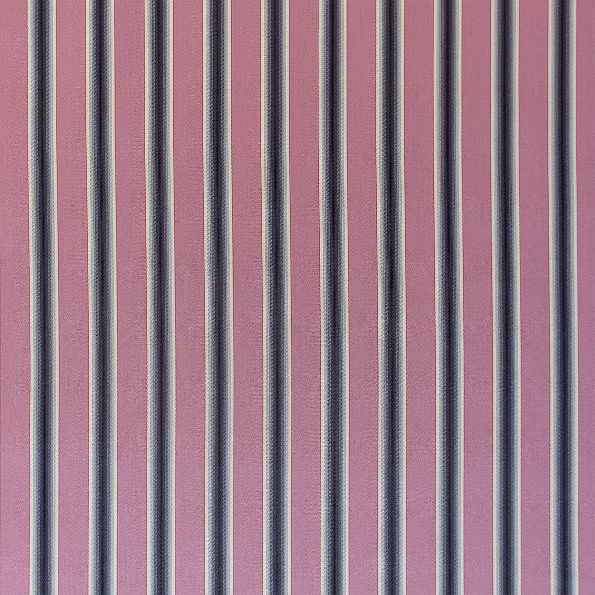 Trastamara-Rosa