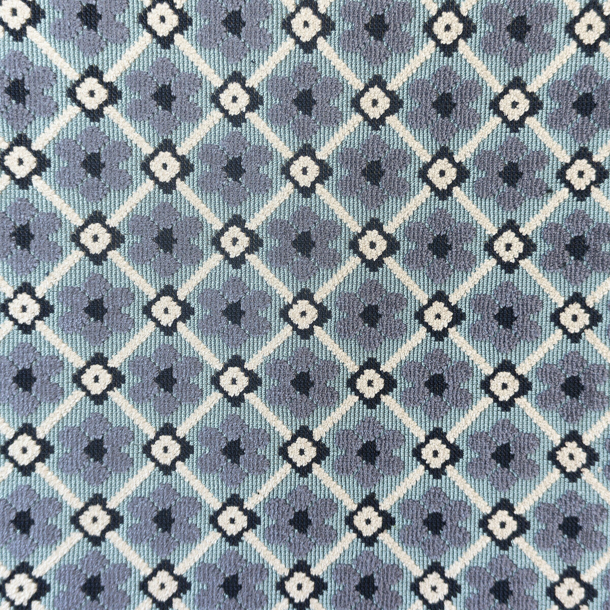 Fruela-Azul