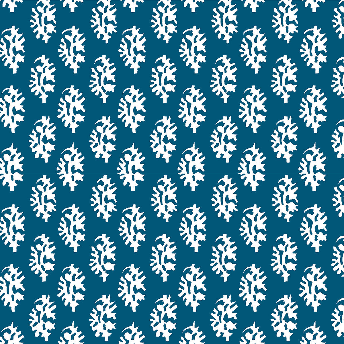 Seijo-Azul