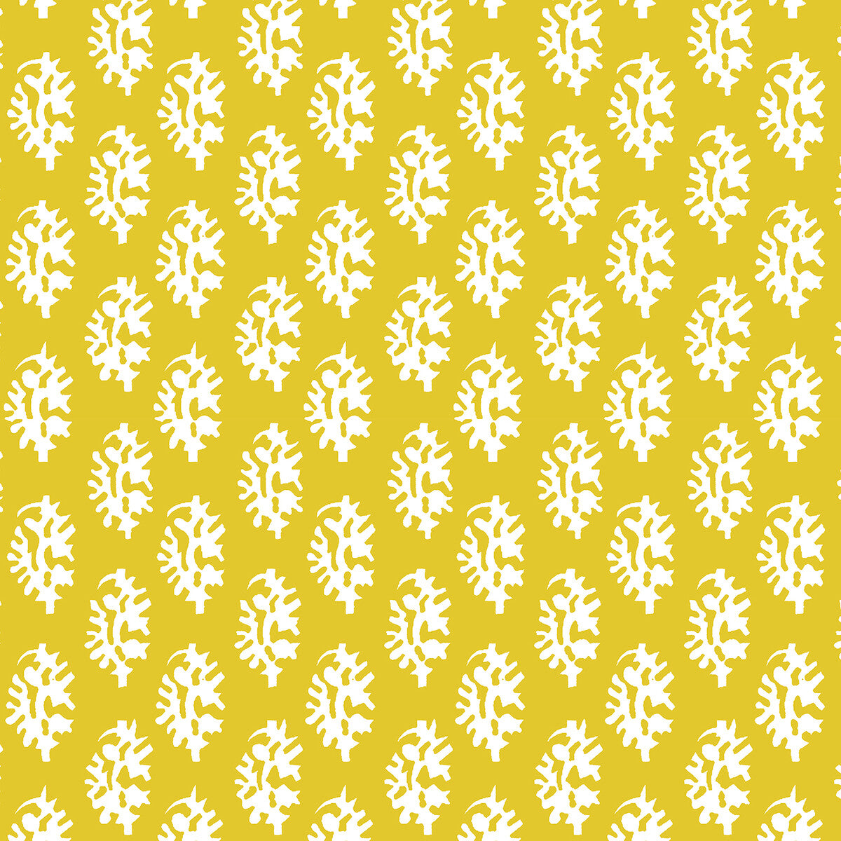 Seijo-Amarillo