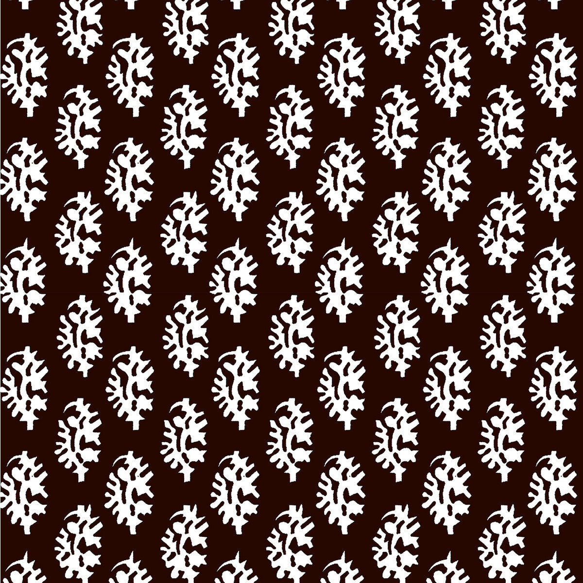 Seijo-Chocolate