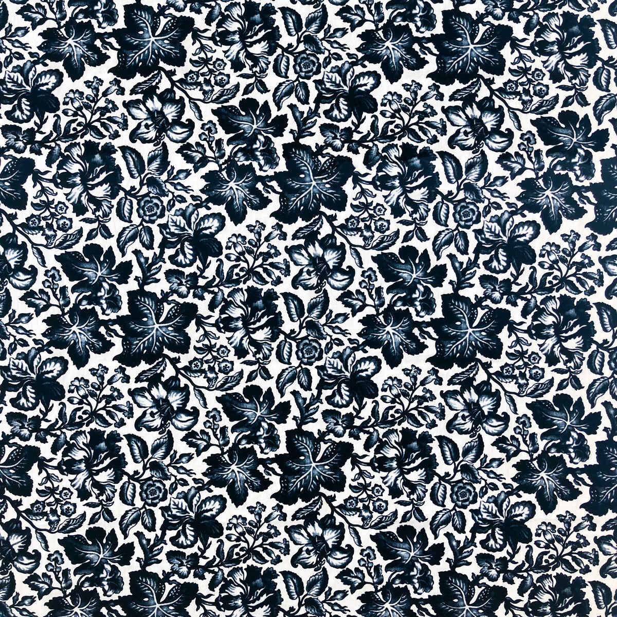Susana-Navy