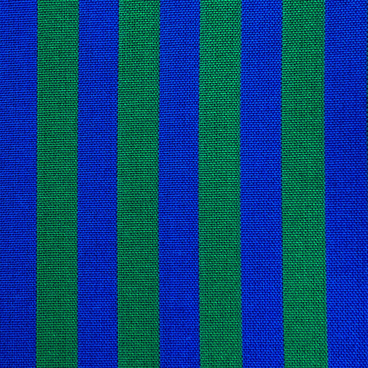 Benjamin-Azul/Verde