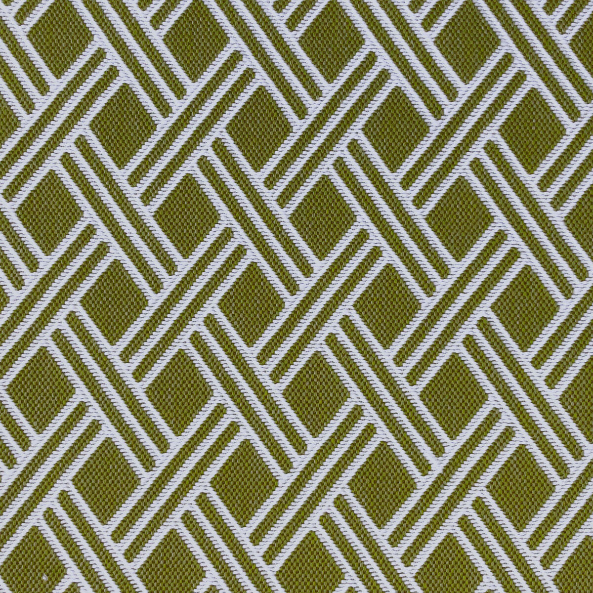 Dorcas-Verde Hoja