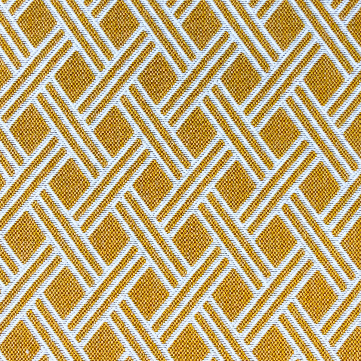 Dorcas-Amarillo