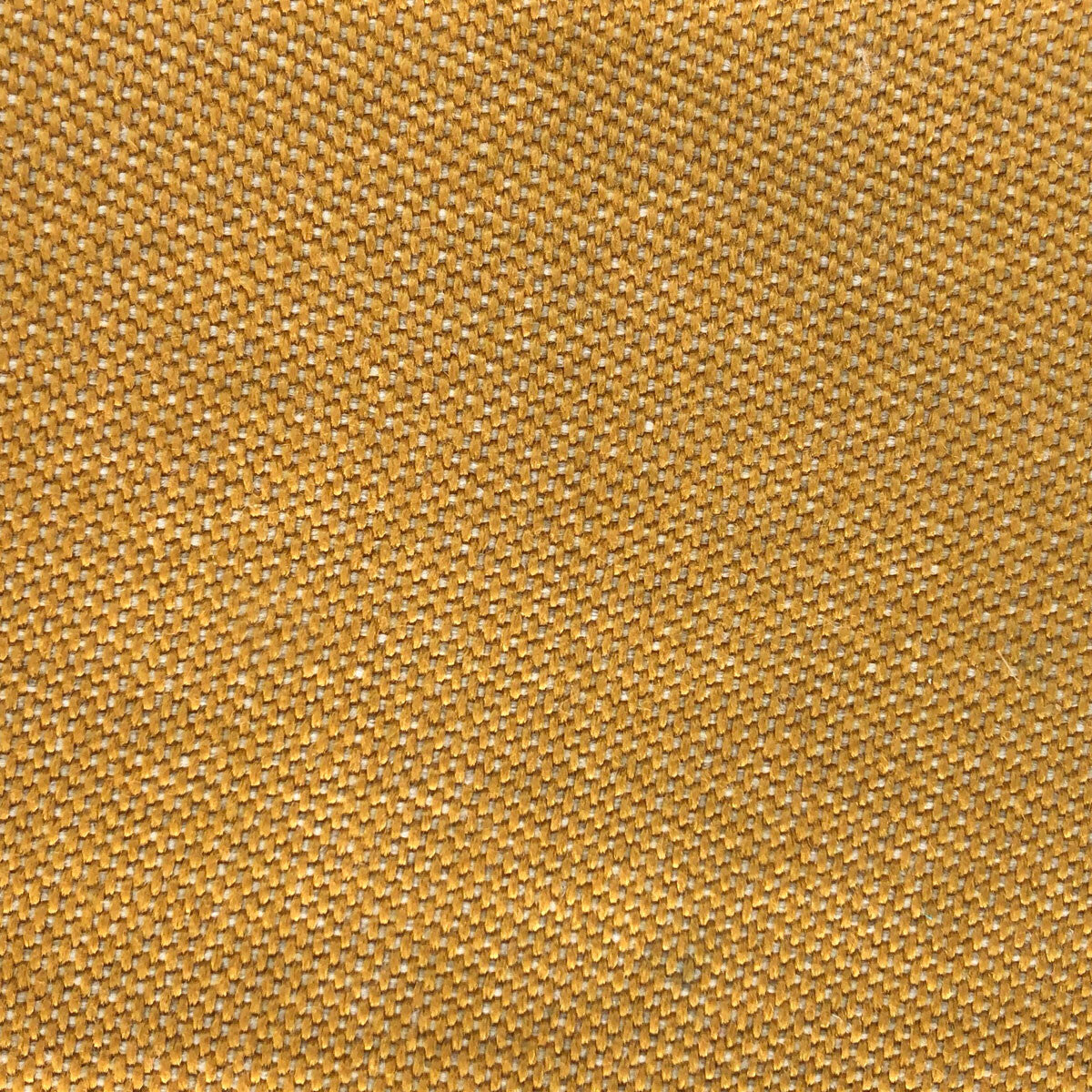 Max-Amarillo