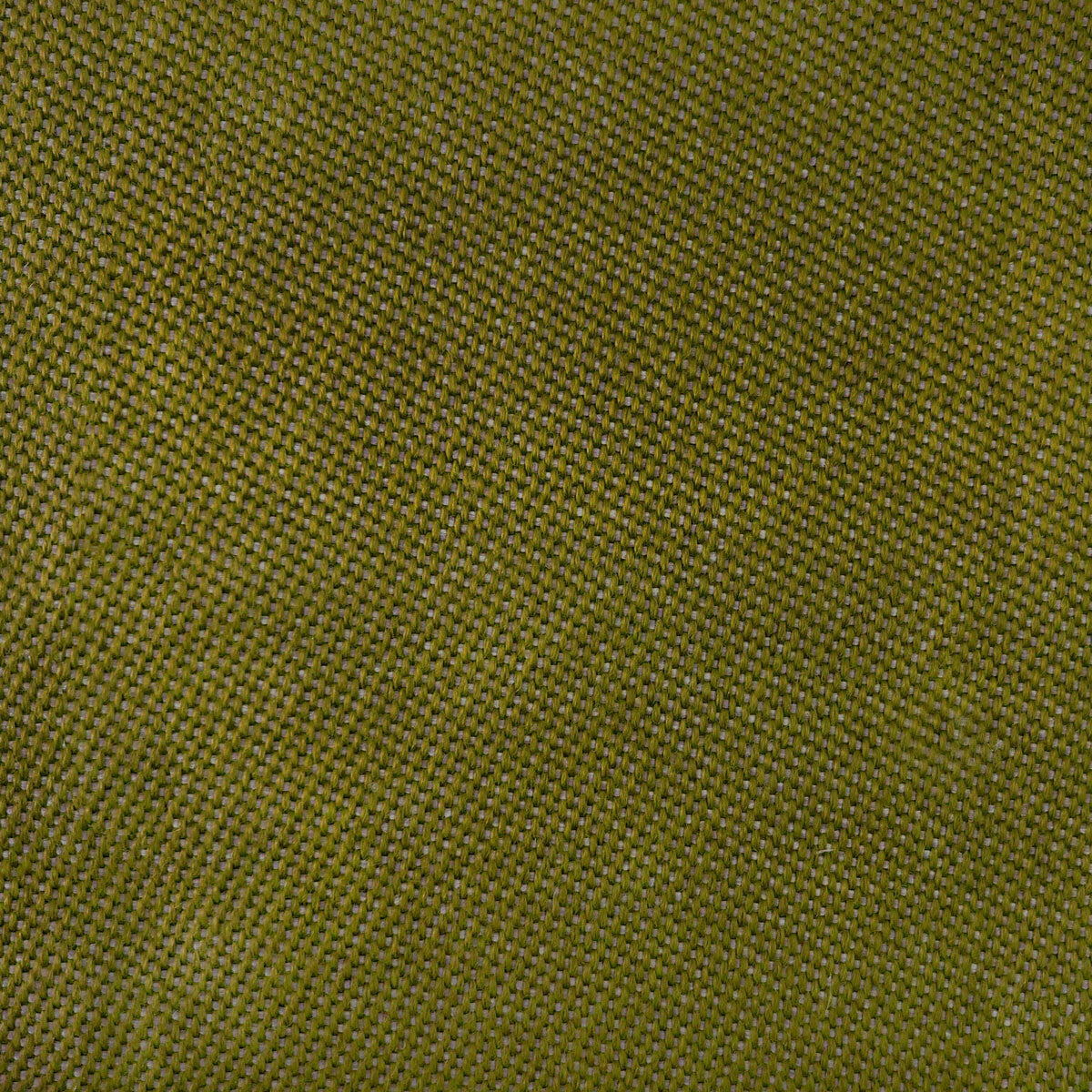 Max-Verde