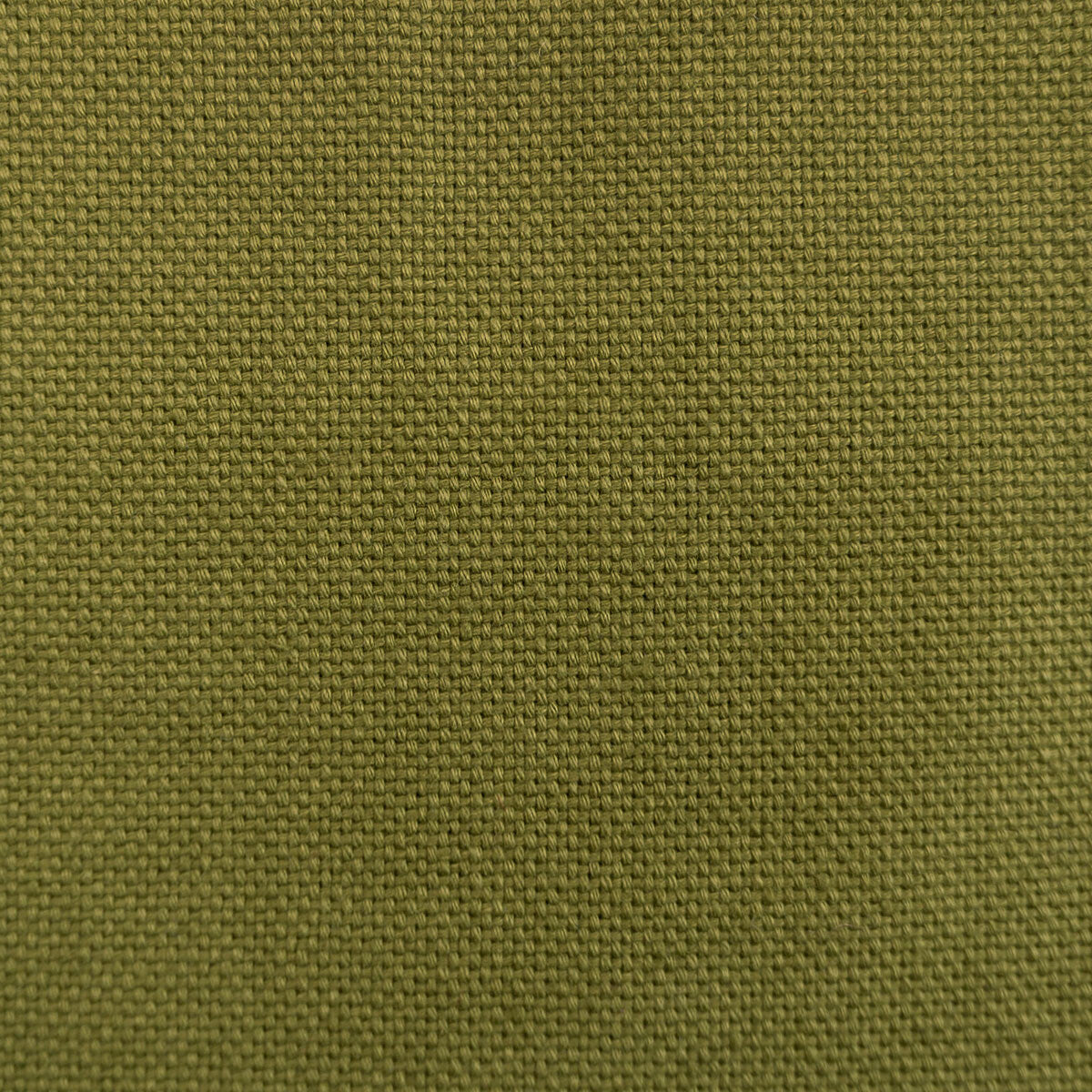 Dobra-Aceituna