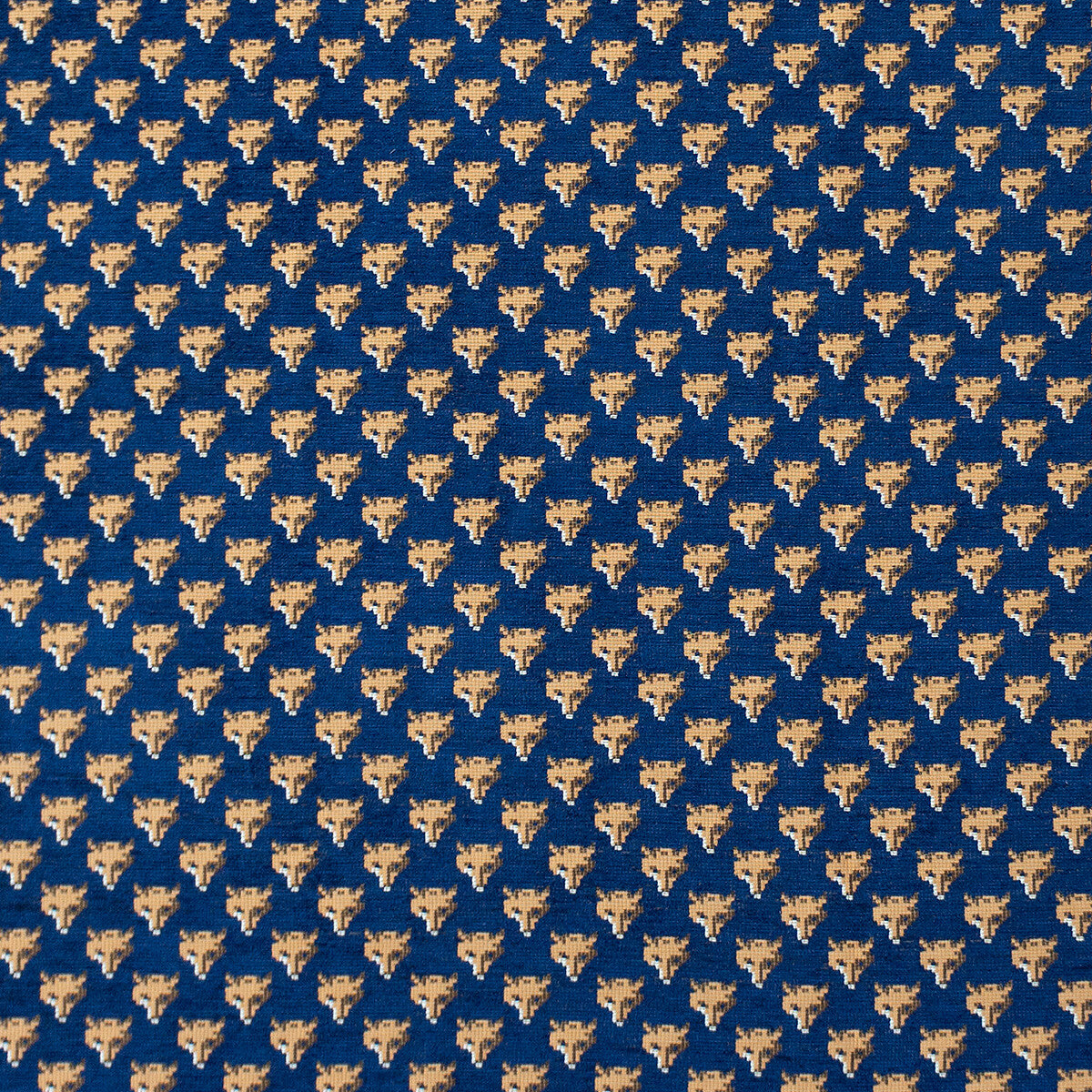 Raposu-Navy