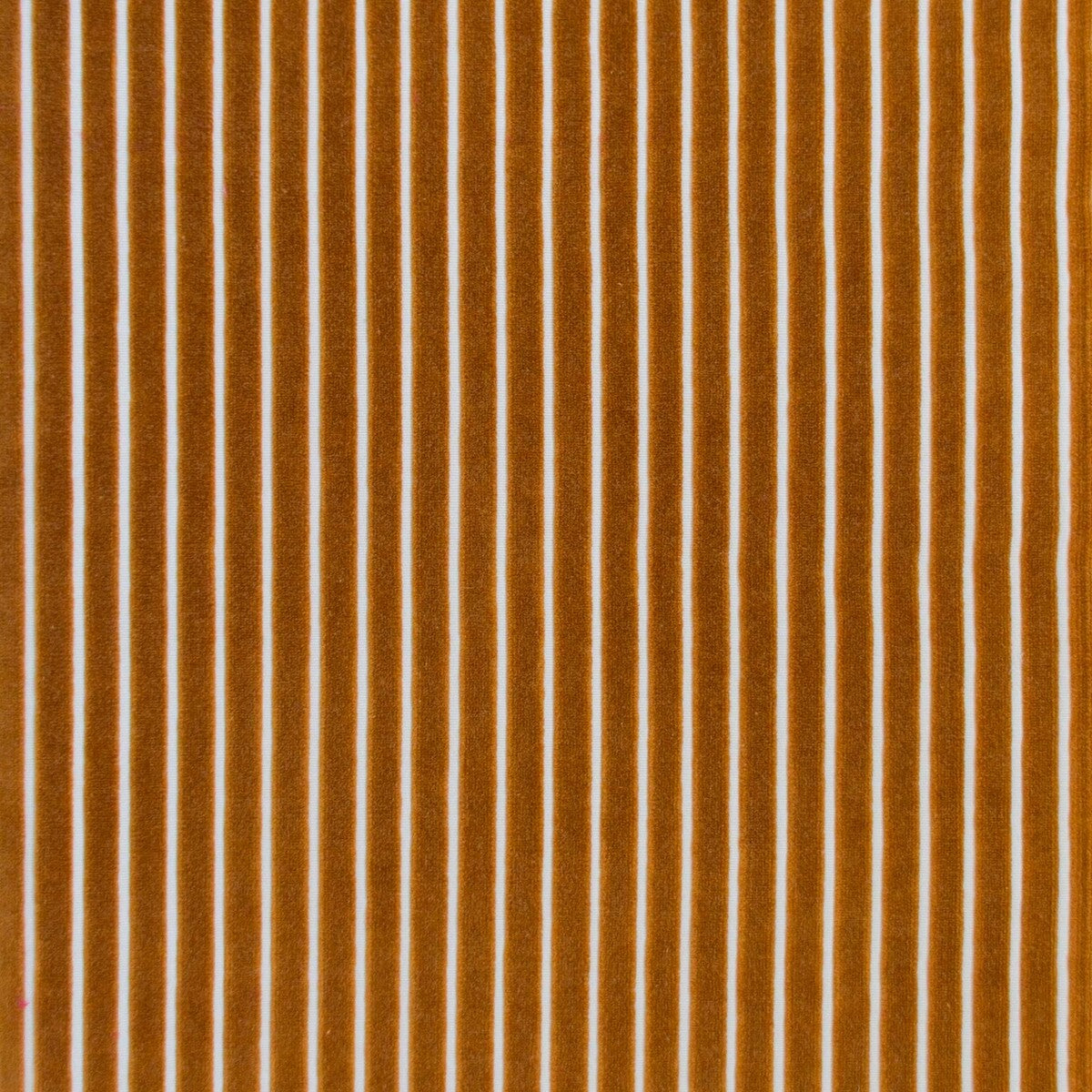 Mayrit-Ocre