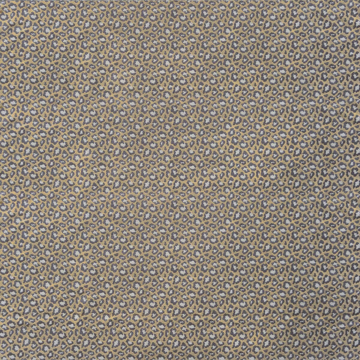 Capricornio-Ocre