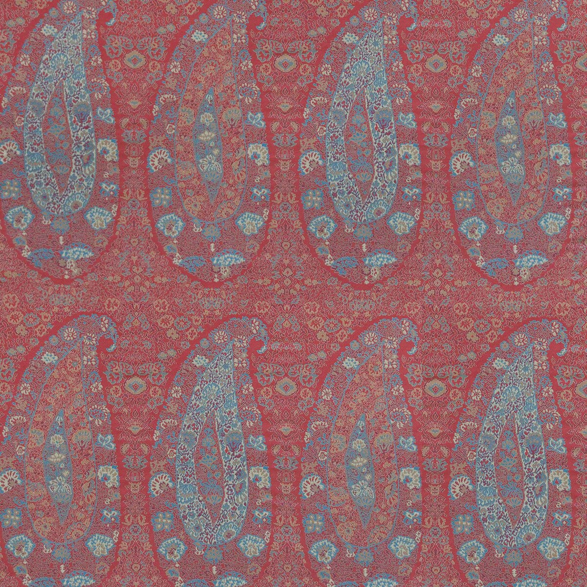 Tesorero-Rojo/Azul