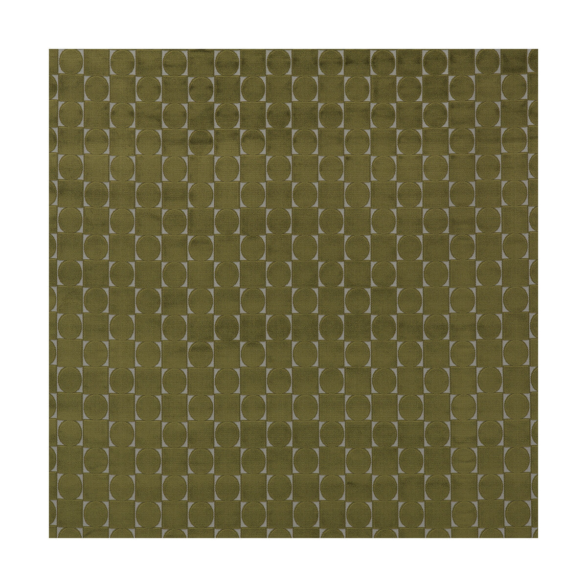 Luigi-Verde
