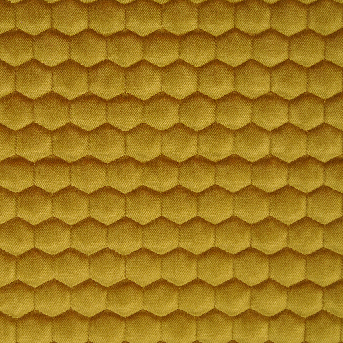 Quercus-Oro