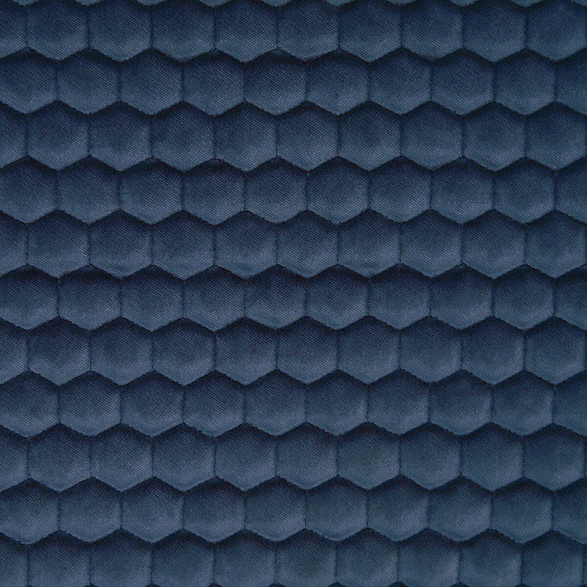 Quercus-Azul
