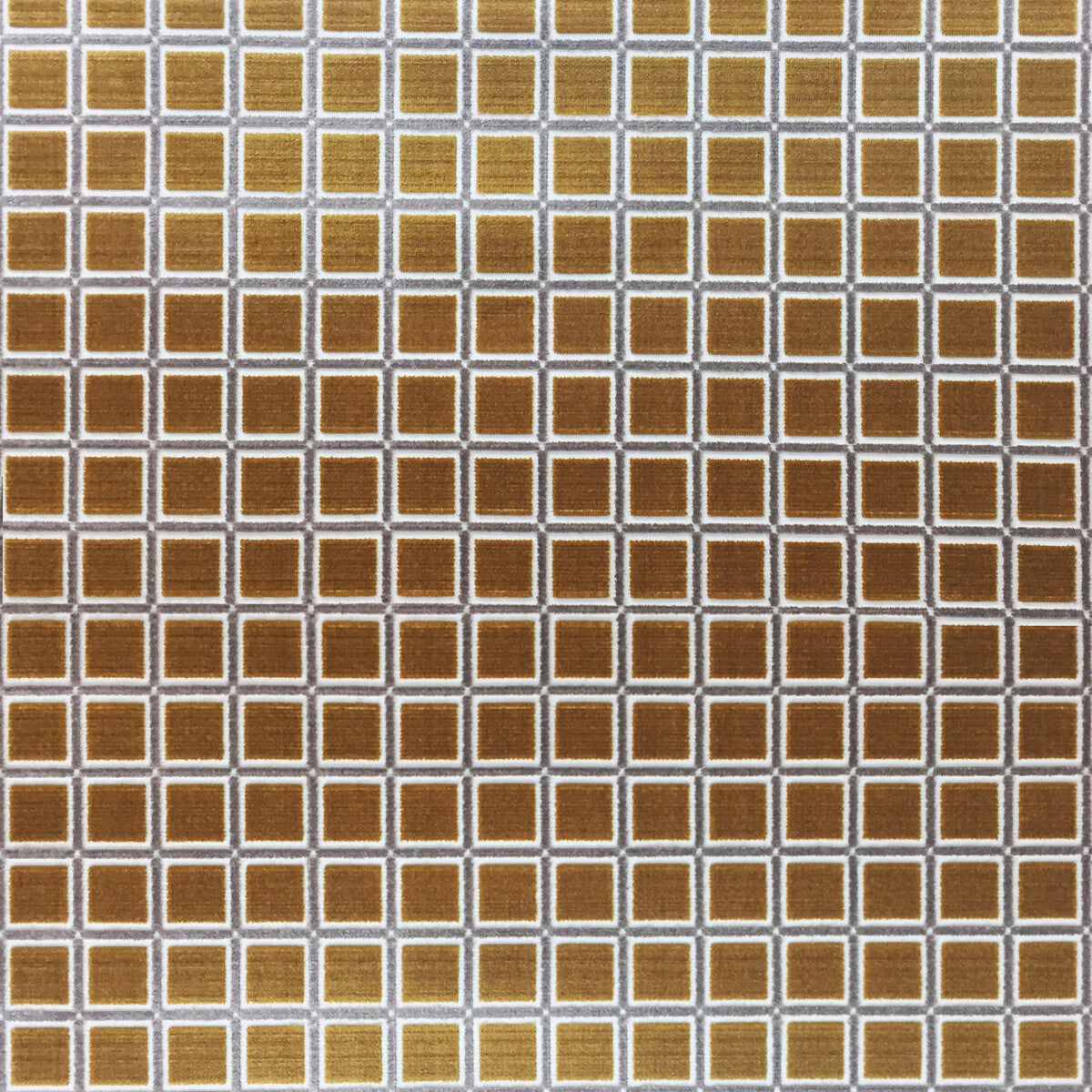 Buitrago-Oro/Tostado
