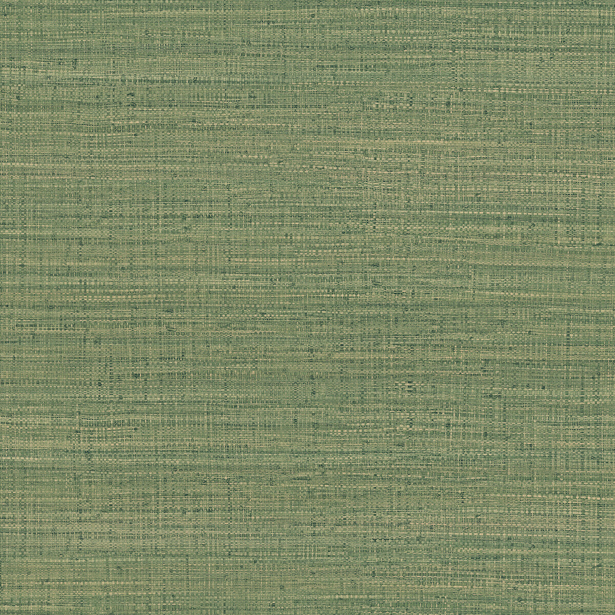 Ayllon-Verde