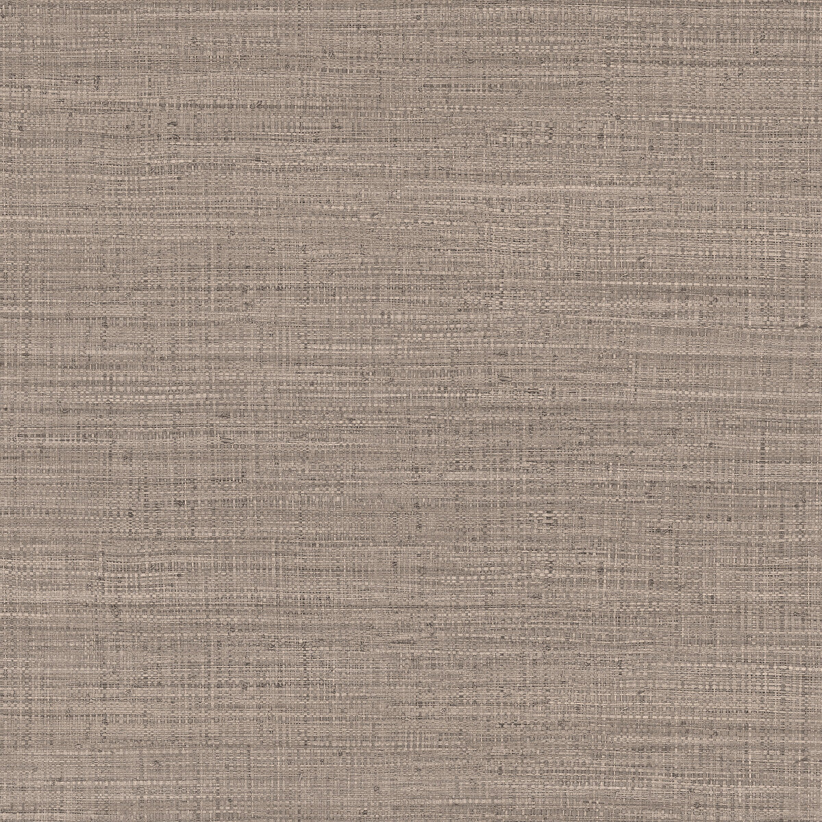 Ayllon-Beige