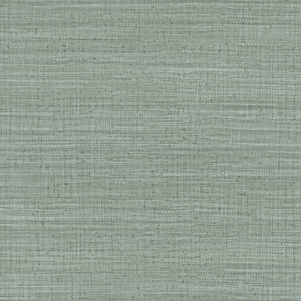 Ayllon-Verde/Topo